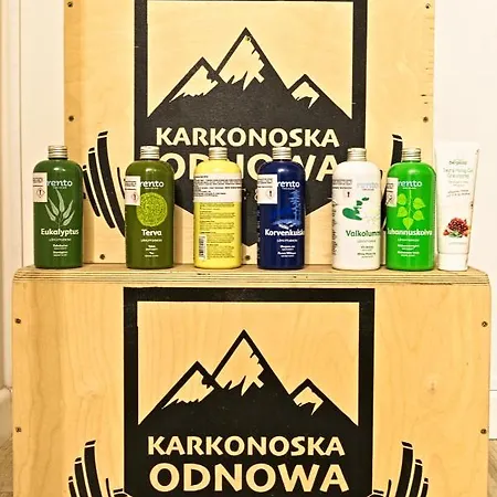 Karkonoska Odnowa B&B *
